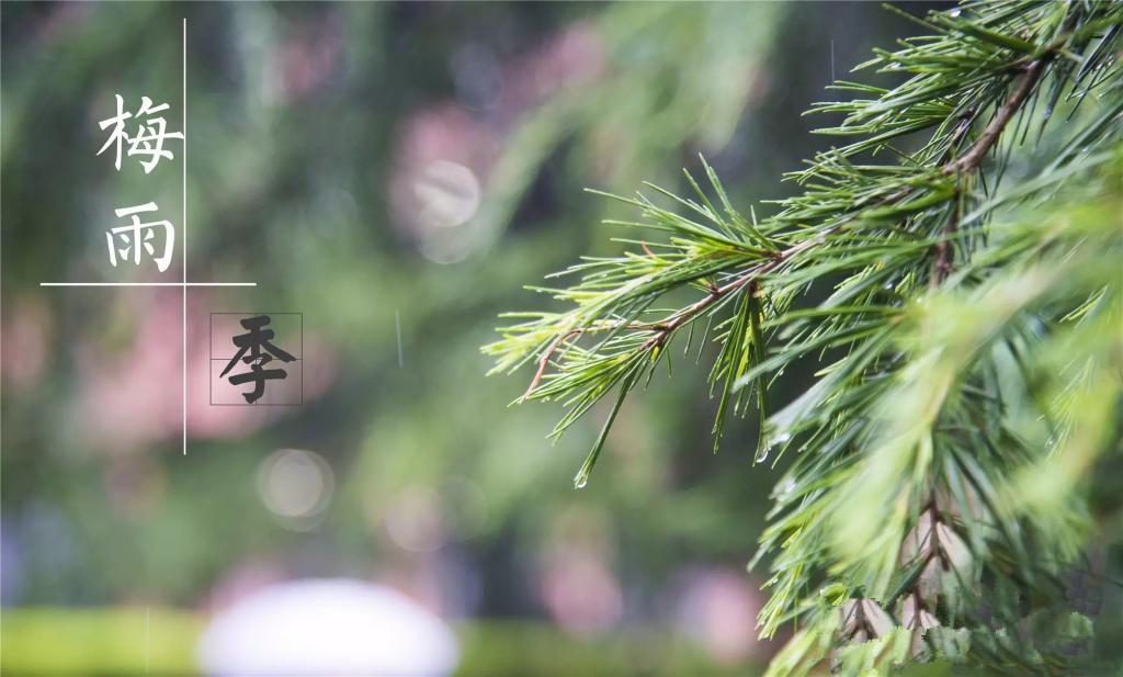 雨季到來(lái)，涂料施工需注意哪些問(wèn)題